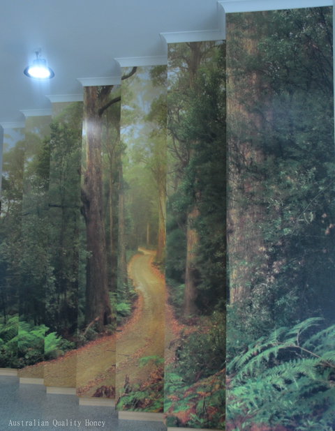 Blue Hills Honey - Taree Accommodation 2