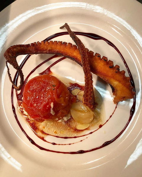 Fish Face Esperance - Taree Accommodation 0