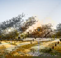 Guneemooroo Estate - Taree Accommodation