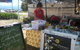 Petite Provence - thumb 1