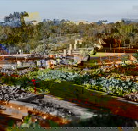 Homage - Taree Accommodation