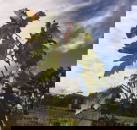 Banca Ridge Cellar Door and Vineyard - Taree Accommodation