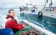 Peninsula Fresh Seafood - thumb 0