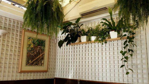 Plane Tree Cafe - Taree Accommodation 0