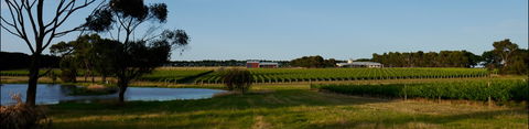 McGlashans Wallington Estate - Taree Accommodation 0