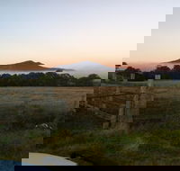Mountainside Wines - Taree Accommodation