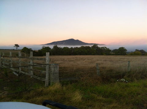 Mountainside Wines - Taree Accommodation 0