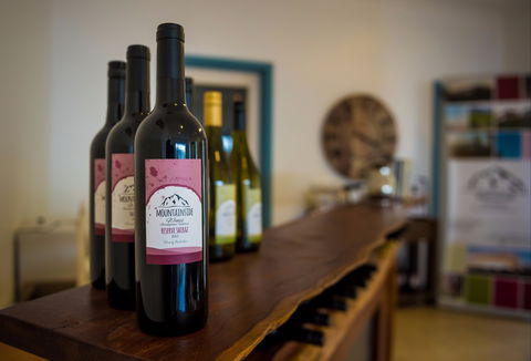 Mountainside Wines - Taree Accommodation 2