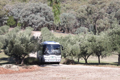 L'Oliveraie Olive Grove - Taree Accommodation 2