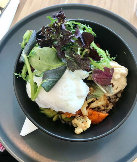Aniseed Cafe - Taree Accommodation 0