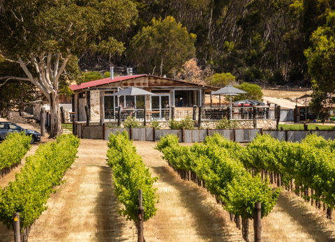 False Cape Wines Cellar Door - Taree Accommodation 0