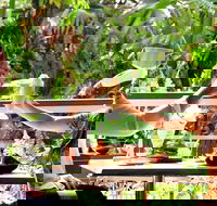 Jaques Coffee Plantation - Taree Accommodation