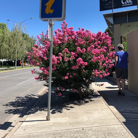 Alpine Gate Cafe - Taree Accommodation 0
