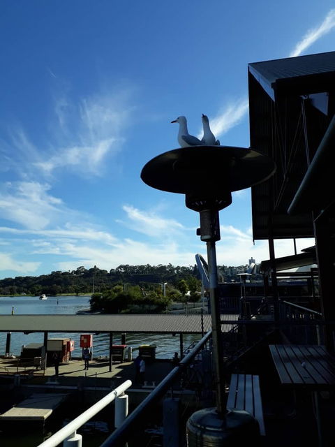 Annalakshmi On The Swan - Taree Accommodation 6