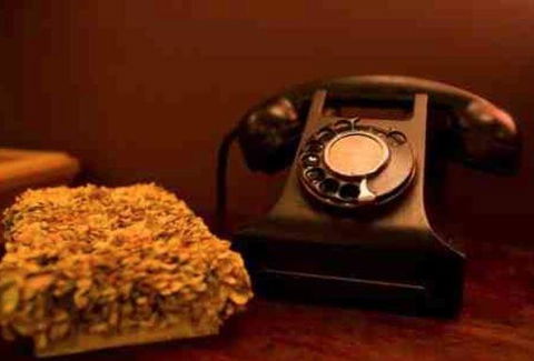 Avalon Katoomba - Taree Accommodation 17