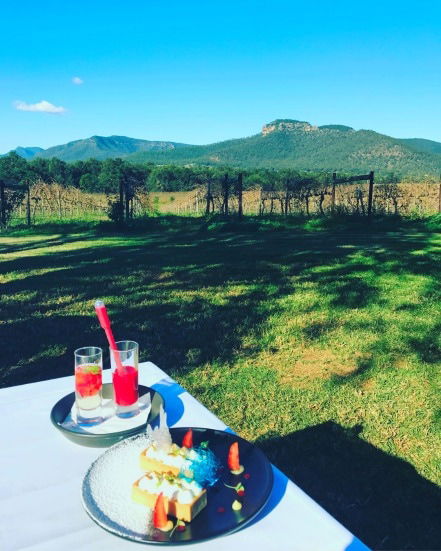 Mount Broke Wines Restaurant - Taree Accommodation 1