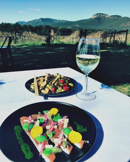 Mount Broke Wines Restaurant - Taree Accommodation 2