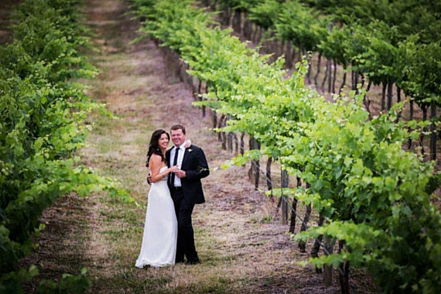 Mount Broke Wines Restaurant - Taree Accommodation 3