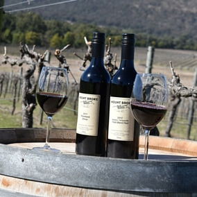 Mount Broke Wines Restaurant - Taree Accommodation 5