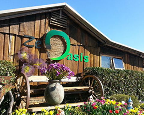 Zen Oasis Vegetarian Restaurant - Taree Accommodation 0