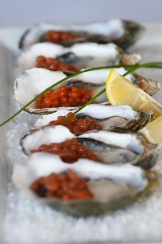 Tha Fish - Taree Accommodation 1