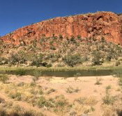 Swiss Chalet - Taree Accommodation