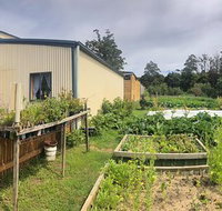 Springfield Tea Room - Taree Accommodation