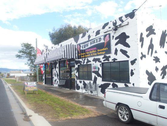 Avoca TAS Taree Accommodation