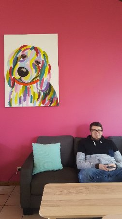 Fat Beagle Coffee Shop - Taree Accommodation 0