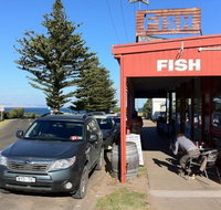 Fish - Taree Accommodation