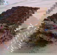 La Trattoria - Taree Accommodation