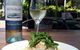 Quay Street Cafe & Bar - thumb 2