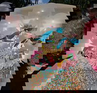 Curcio's Drive Thru Bakery - Taree Accommodation