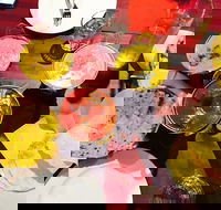 Gatton Indian Restaurant - Taree Accommodation