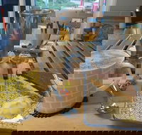 Spring Eats and Treats - Taree Accommodation