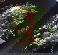 8days Cafe - Taree Accommodation