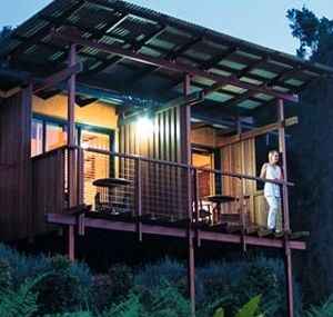 O'Reilly's Rainforest Guesthouse - Taree Accommodation 1
