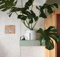 ACE Hotel Sydney - Taree Accommodation