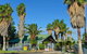 Desert Palms Alice Springs - thumb 1