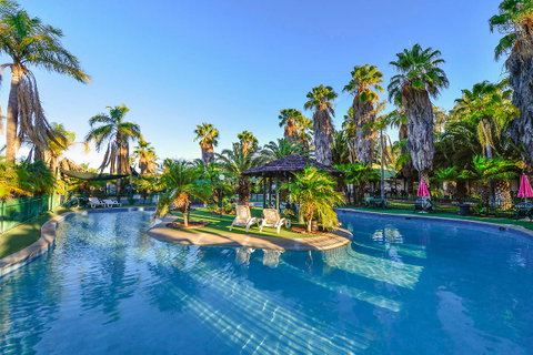 Desert Palms Alice Springs - Taree Accommodation 4
