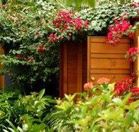 Pink Flamingo - Taree Accommodation