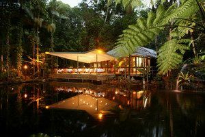 Daintree Eco Lodge & Spa - Taree Accommodation 2