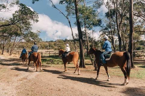 Country Club Tasmania - Taree Accommodation 0