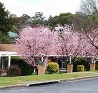 White Lanterns Motel - Taree Accommodation