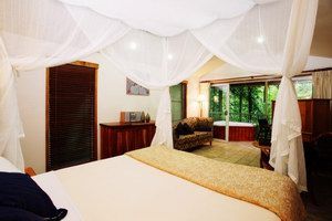 Daintree Eco Lodge & Spa - Taree Accommodation 1