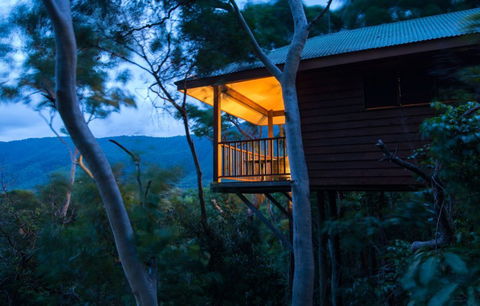 Thala Beach Nature Reserve - Taree Accommodation 0