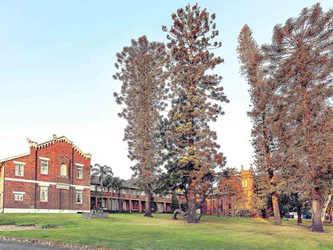 Mercure Monte Pio Hotel & Conference Ctr - Taree Accommodation 0