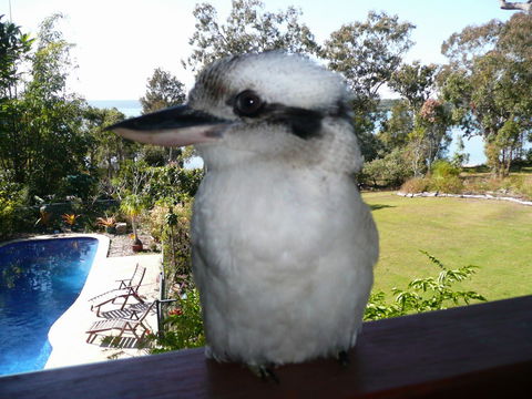 Yarrandabbi Dreaming Boutique B&B - Taree Accommodation 2