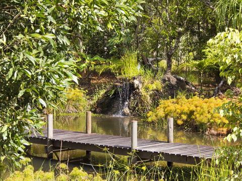 Cedar Park Rainforest Resort - Taree Accommodation 0