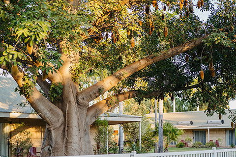 Kimberley Grande Resort & Conf Ctr - Taree Accommodation 0